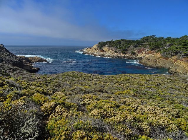 Point Lobos
Mots-clés: Amérique;Amérique du Nord;Etats-Unis;USA;Californie;Point Lobos State Reserve;réserve naturelle