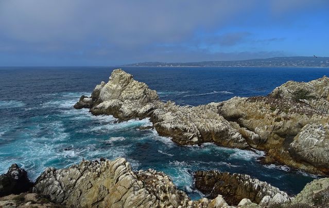 Point Lobos
Mots-clés: Amérique;Amérique du Nord;Etats-Unis;USA;Californie;Point Lobos State Reserve;réserve naturelle