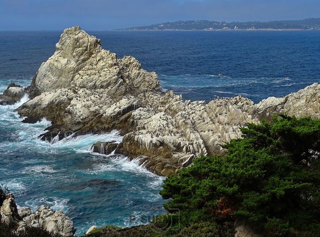 Point Lobos
Mots-clés: Amérique;Amérique du Nord;Etats-Unis;USA;Californie;Point Lobos State Reserve;réserve naturelle