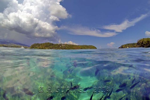 Puerto Galera
Snorkeling dans l'un des Verde Island Passages
Mots-clés: Asie;Philippines;Mindoro;Puerto Galera