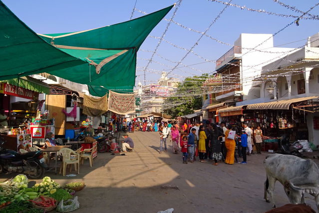 Dans les rues de Pushkar
Mots-clés: Asie;Inde;Rajasthan;Pushkar