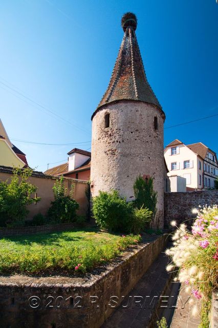 Ribeauvill
Tour 
Mots-clés: Europe;France;Alsace;Ribeauvill;Monument historique