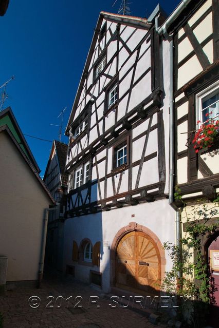 Riquewihr
Mots-clés: Europe;France;Alsace;Riquewihr