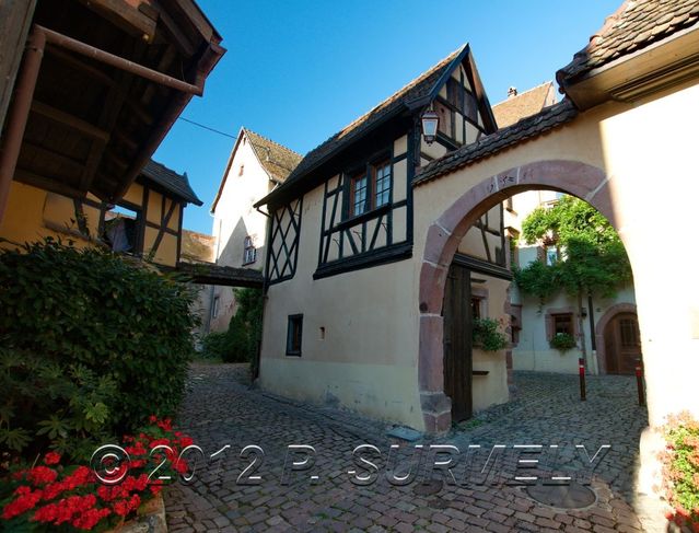 Riquewihr
Mots-clés: Europe;France;Alsace;Riquewihr