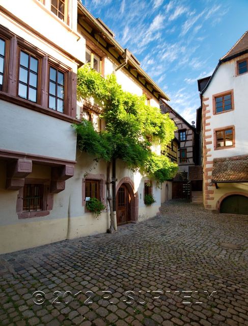 Riquewihr
Mots-clés: Europe;France;Alsace;Riquewihr