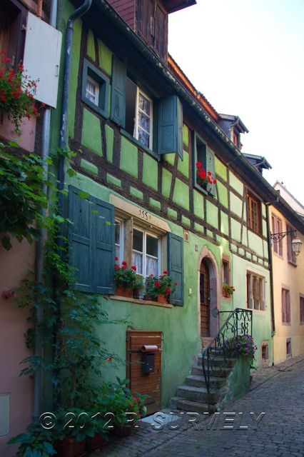 Riquewihr
Mots-clés: Europe;France;Alsace;Riquewihr