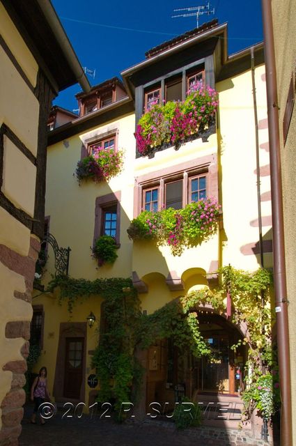 Riquewihr
Mots-clés: Europe;France;Alsace;Riquewihr