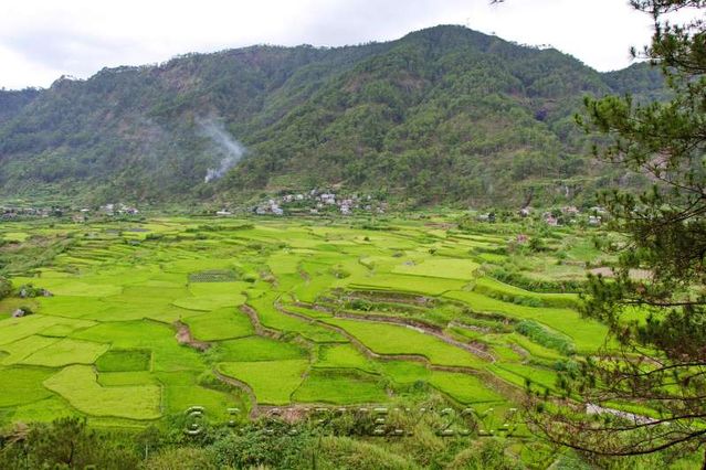 Sagada
Vue gnrale de l'ancien village
Mots-clés: Asie;Philippines;Luzon;Sagada