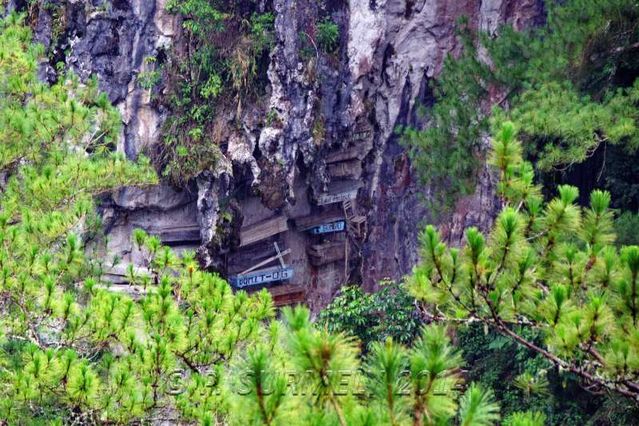 Sagada
Cercueils accrochs  la falaise
Mots-clés: Asie;Philippines;Luzon;Sagada