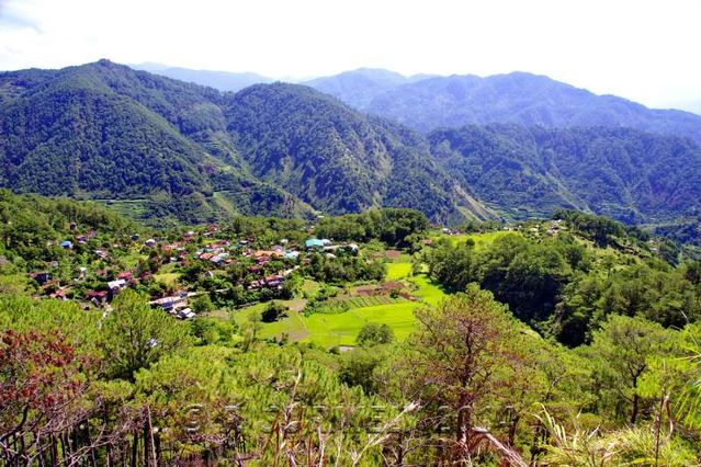 Sagada
Vue vers Kilong
Mots-clés: Asie;Philippines;Luzon;Sagada