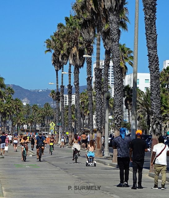 Santa Monica
Mots-clés: Amérique;Amérique du Nord;Etats-Unis;USA;Californie;Pacifique;Santa Monica