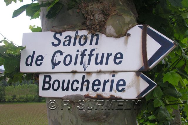 Panneau indicateur
Je n'ai pas osé aller chez le coiffeur!!!
Mots-clés: Europe;France;Pays Basque;Sare