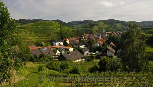 Schelingen
Mots-clés: Europe;Allemagne;Bade-Wurtemberg;Kayserstuhl;Schelingen