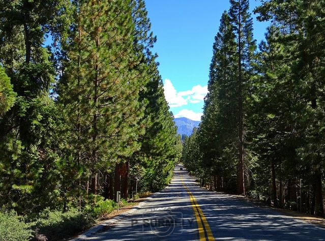 Sequoia National Park & Forest
Mots-clés: Amérique;Amérique du Nord;Etats-Unis;USA;Californie;Sequoia;Sequoia National Forest;Sequoia National Park;parc national