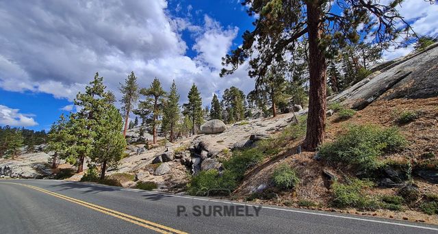 Sequoia National Park & Forest
Mots-clés: Amérique;Amérique du Nord;Etats-Unis;USA;Californie;Sequoia;Sequoia National Forest;Sequoia National Park;parc national