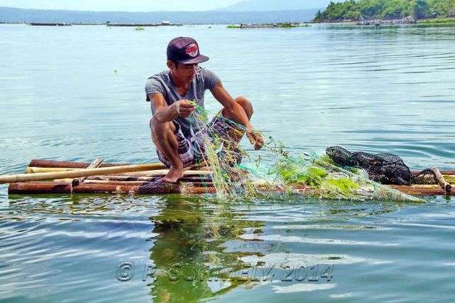 Lac Taal
Pcheur sur le lac
Mots-clés: Asie;Philippines;Tagaytay;Talisay;Lac Taal;lac