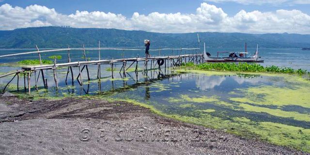 Lac Taal
Le lac depuis l'ile
Mots-clés: Asie;Philippines;Tagaytay;Talisay;Lac Taal;lac