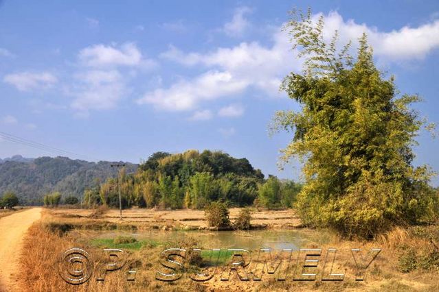 Thathod
dans les rizires
Mots-clés: Laos;Asie;Thakhek