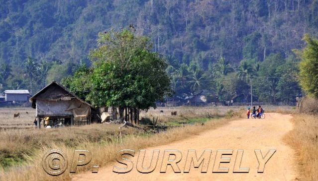 Thathod
dans les rizires
Mots-clés: Laos;Asie;Thakhek