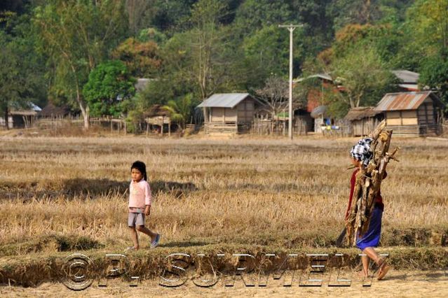 Thathod
dans les rizires
Mots-clés: Laos;Asie;Thakhek