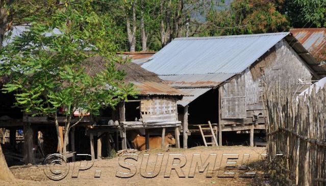 Thathod
maison traditionnelle
Mots-clés: Laos;Asie;Thakhek