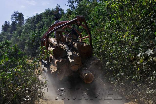 Thathod
transport du bois
Mots-clés: Laos;Asie;Thakhek