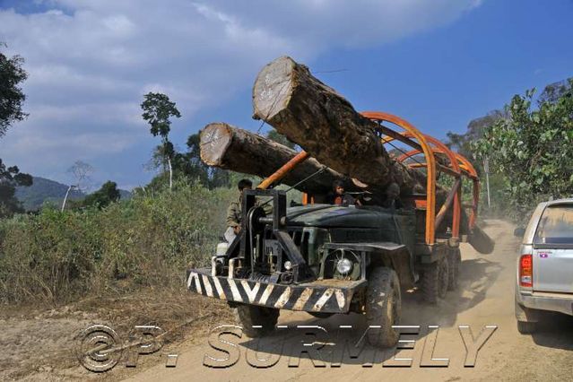 Thathod
transport du bois
Mots-clés: Laos;Asie;Thakhek