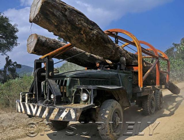 Thathod
transport du bois
Mots-clés: Laos;Asie;Thakhek