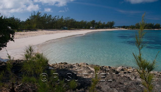 Turtle Beach
Mots-clés: Amrique du Nord;Bermudes;Atlantique;ocan;plage