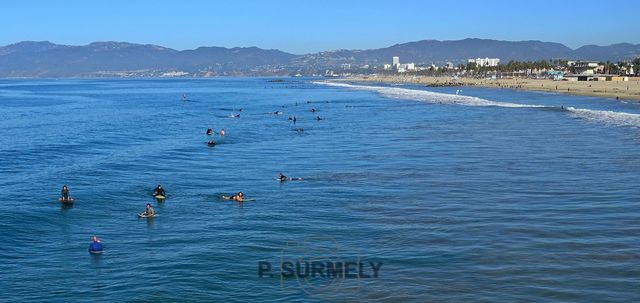 Venice
Mots-clés: Amérique;Amérique du Nord;Etats-Unis;USA;Californie;Pacifique;Venice