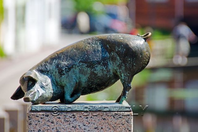 Wismar: sur le Pont des Cochons
Mots-clés: Europe;Allemagne;Mecklenburg;Vorpommern;Wismar;sculpture