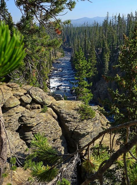 Yellowstone
Mots-clés: Amérique;Amérique du Nord;Etats-Unis;USA;Wyoming;Yellowstone National Park;Yellowstone;parc national