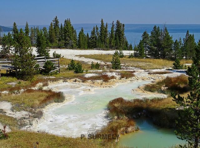 Yellowstone
Mots-clés: Amérique;Amérique du Nord;Etats-Unis;USA;Wyoming;Yellowstone National Park;Yellowstone;parc national