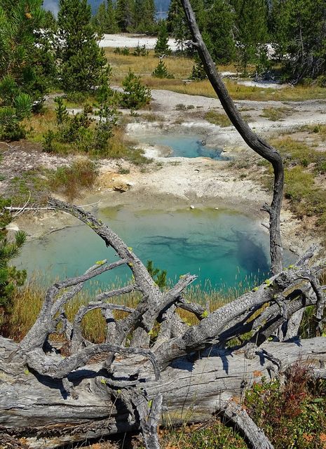 Yellowstone
Mots-clés: Amérique;Amérique du Nord;Etats-Unis;USA;Wyoming;Yellowstone National Park;Yellowstone;parc national