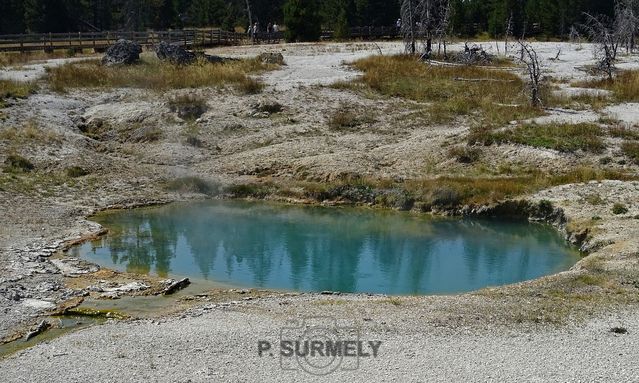 Yellowstone
Mots-clés: Amérique;Amérique du Nord;Etats-Unis;USA;Wyoming;Yellowstone National Park;Yellowstone;parc national