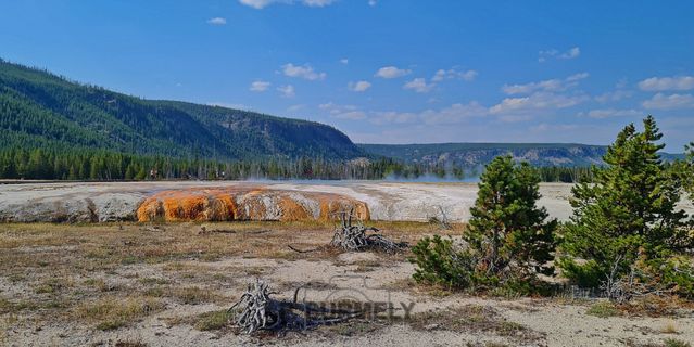 Yellowstone
Mots-clés: Amérique;Amérique du Nord;Etats-Unis;USA;Wyoming;Yellowstone National Park;Yellowstone;parc national