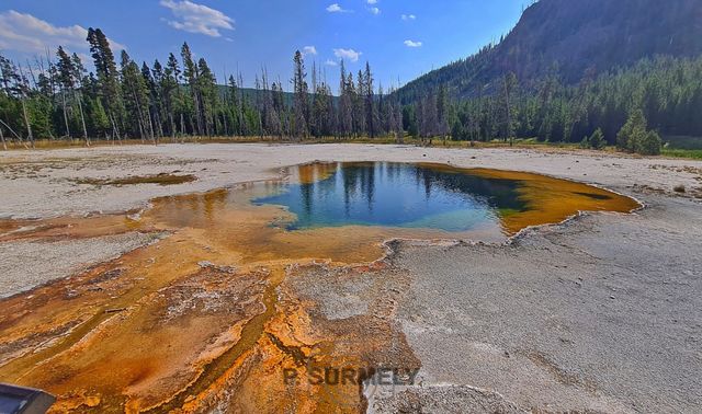 Yellowstone
Mots-clés: Amérique;Amérique du Nord;Etats-Unis;USA;Wyoming;Yellowstone National Park;Yellowstone;parc national