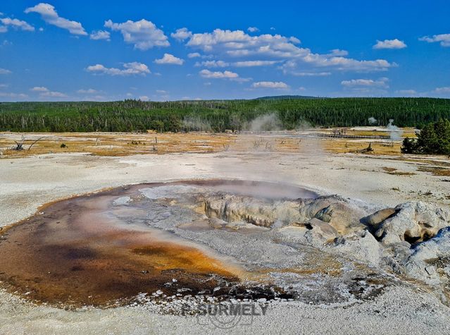 Yellowstone
Mots-clés: Amérique;Amérique du Nord;Etats-Unis;USA;Wyoming;Yellowstone National Park;Yellowstone;parc national