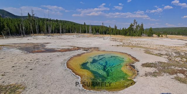 Yellowstone
Mots-clés: Amérique;Amérique du Nord;Etats-Unis;USA;Wyoming;Yellowstone National Park;Yellowstone;parc national