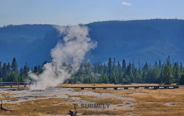 Yellowstone
Mots-clés: Amérique;Amérique du Nord;Etats-Unis;USA;Wyoming;Yellowstone National Park;Yellowstone;parc national