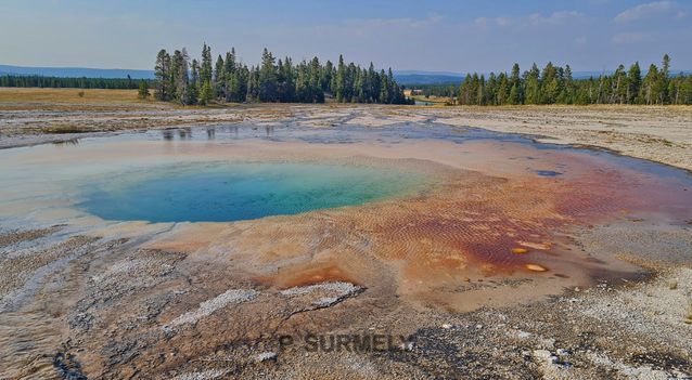 Yellowstone
Mots-clés: Amérique;Amérique du Nord;Etats-Unis;USA;Wyoming;Yellowstone National Park;Yellowstone;parc national