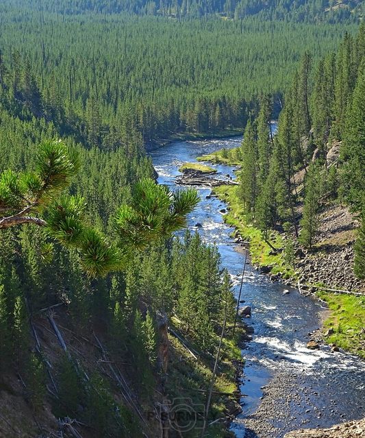 Yellowstone
Mots-clés: Amérique;Amérique du Nord;Etats-Unis;USA;Wyoming;Yellowstone National Park;Yellowstone;parc national