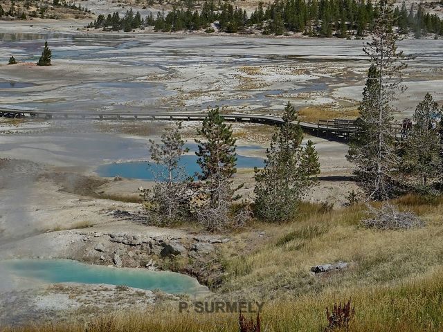 Yellowstone
Mots-clés: Amérique;Amérique du Nord;Etats-Unis;USA;Wyoming;Yellowstone National Park;Yellowstone;parc national