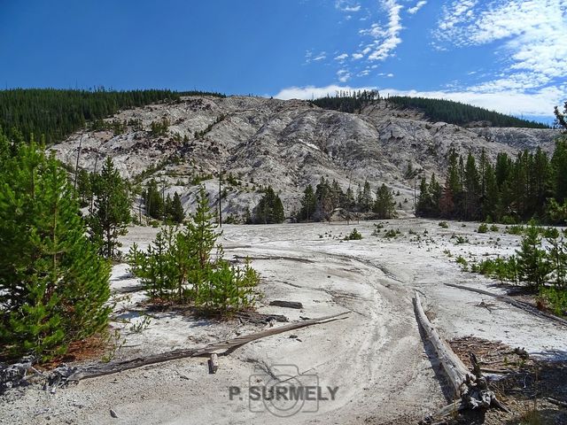 Yellowstone
Mots-clés: Amérique;Amérique du Nord;Etats-Unis;USA;Wyoming;Yellowstone National Park;Yellowstone;parc national