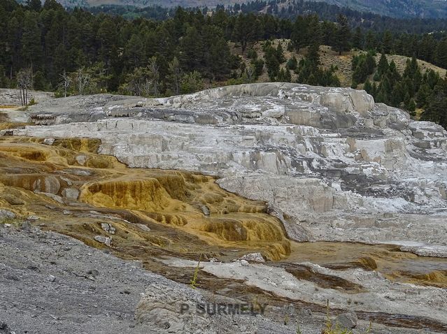 Yellowstone
Mots-clés: Amérique;Amérique du Nord;Etats-Unis;USA;Wyoming;Yellowstone National Park;Yellowstone;parc national