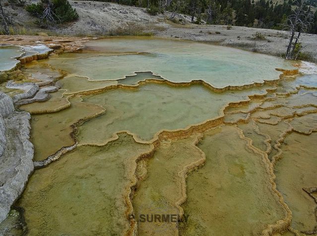 Yellowstone
Mots-clés: Amérique;Amérique du Nord;Etats-Unis;USA;Wyoming;Yellowstone National Park;Yellowstone;parc national