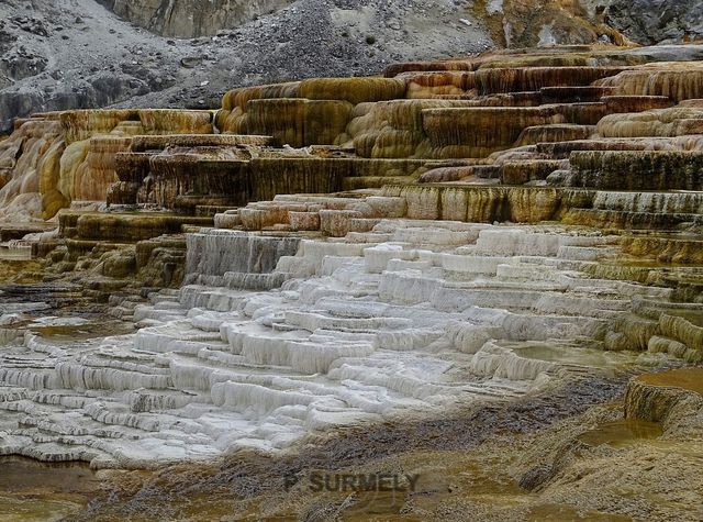 Yellowstone
Mots-clés: Amérique;Amérique du Nord;Etats-Unis;USA;Wyoming;Yellowstone National Park;Yellowstone;parc national