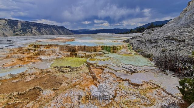 Yellowstone
Mots-clés: Amérique;Amérique du Nord;Etats-Unis;USA;Wyoming;Yellowstone National Park;Yellowstone;parc national