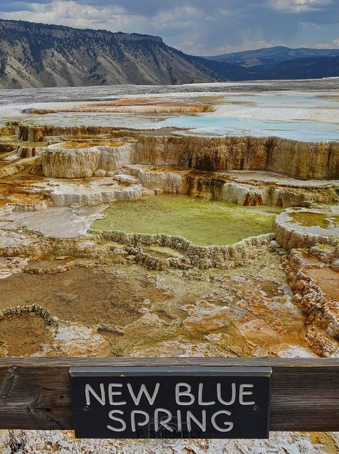 Yellowstone
Mots-clés: Amérique;Amérique du Nord;Etats-Unis;USA;Wyoming;Yellowstone National Park;Yellowstone;parc national