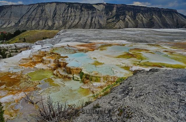 Yellowstone
Mots-clés: Amérique;Amérique du Nord;Etats-Unis;USA;Wyoming;Yellowstone National Park;Yellowstone;parc national